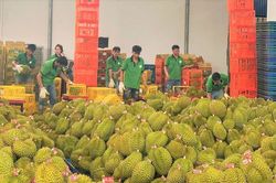 Bộ N&ocirc;ng nghiệp v&agrave; M&ocirc;i trường tiết kiệm tr&ecirc;n 5.300 tỷ đồng chi ph&iacute; tu&acirc;n thủ cho người d&acirc;n v&agrave; doanh nghiệp