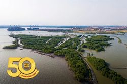 'Siêu' cảng Cái Mép Hạ hơn 50.000 tỷ chính thức khởi công