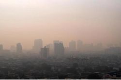 Cần hành động quyết liệt hơn