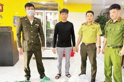 Quản lý chặt các hoạt động liên quan động vật hoang dã