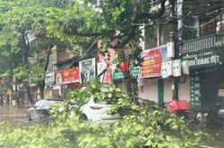 Mưa lớn gây thiệt hại khoảng 17 tỷ đồng tại Tuyên Quang