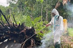 Tuyên Quang xuất hiện dịch cúm gia cầm A/H5N1