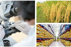 Xây dựng thương hiệu quốc gia để nông sản Việt gia tăng giá trị bền vững