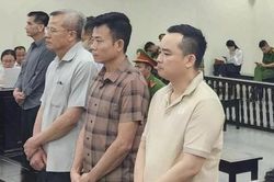 Cựu Chủ tịch Công ty Nam Triệu bị tuyên mức án 29 năm tù