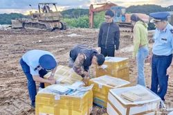 Lâm Đồng xử lý 720 vụ vi phạm trong kinh doanh hàng hóa