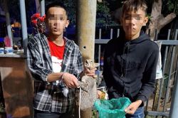 Bộ đôi trộm mèo
