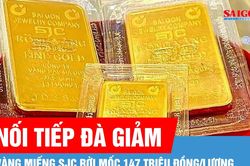 Sáng 1-7, vàng miếng SJC rời mốc 147 triệu đồng/lượng