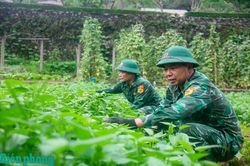Hiệu quả trong công tác tăng gia sản xuất ở Đồn Biên phòng Tùng Vài