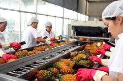 EU siết dư lượng thuốc bảo vệ thực vật, doanh nghiệp xuất khẩu đối mặt th&ecirc;m r&agrave;o cản