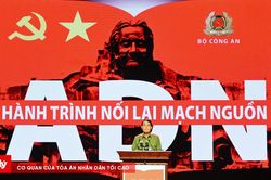 'ADN &ndash; H&agrave;nh tr&igrave;nh nối lại mạch nguồn'