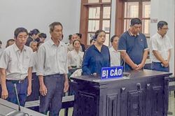 Vụ thợ điện tử vong trên trụ điện ở Khánh Hòa: Tuyên án 5 bị cáo liên quan