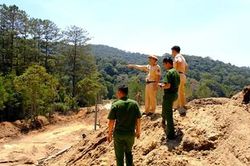 Lâm Đồng tăng cường đấu tranh, ngăn chặn vi phạm pháp luật trong lĩnh vực tài nguyên, khoáng sản