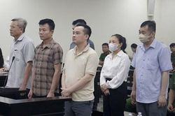 Tham &ocirc; t&agrave;i sản, cựu Chủ tịch C&ocirc;ng ty Nam Triệu Nguyễn Văn Hưng lĩnh 29 năm t&ugrave;