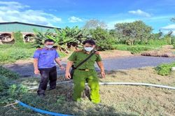 Phê chuẩn khởi tố chủ cơ sở chăn nuôi heo xả thải ra môi trường ở Gia Lai