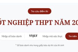 Tra cứu điểm thi Tốt nghiệp Trung học phổ thông trên Báo Điện tử VietnamPlus
