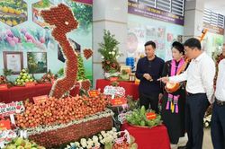 Vận hành hệ thống truy xuất nguồn gốc: Nền tảng số cho nông sản Việt vươn xa