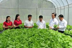 Khơi thông tín dụng xanh: Không thể chỉ trông chờ vào ngân hàng