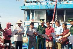 Đà Nẵng tái cơ cấu đội tàu, hướng tới nghề cá hiện đại và gỡ 'thẻ vàng' IUU