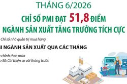 PMI tháng 6 đạt 51,8 điểm, ngành sản xuất tăng trưởng tích cực