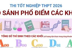 So sánh phổ điểm thi tốt nghiệp Trung học phổ thông năm 2026 các khối A00, B00, C00, D01, A01