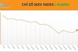 Lực mua chiếm ưu thế, MXV-Index tăng nhẹ lên 2.568 điểm phiên cuối tháng 6