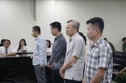 Cựu Chủ tịch Công ty Nam Triệu bị phạt 29 năm tù