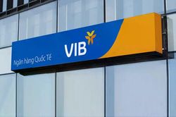 Tân phó tổng giám đốc VIB là ai?