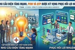 Cơ hội đầu tư cổ phiếu POW, QTP và TCX khi ngành điện tăng trưởng