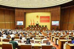Tăng quyền chủ động cho địa phương trong thực hiện nhiệm vụ nông nghiệp và môi trường