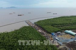 Tăng cường hợp tác với đối tác Hà Lan trong phát triển xanh và kinh tế biển
