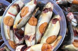 Những loại cá chỉ mùa lũ miền Tây mới có, dân sành ăn không bao giờ bỏ lỡ