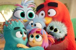 Trailer đầu tiên của The Angry Birds Movie 3: Thương hiệu chim giận dữ trở lại rạp dịp Giáng sinh