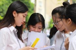 Điểm thi tốt nghiệp THPT 2026: Ninh Bình đứng đầu bảng điểm thi môn Toán cao nhất nước