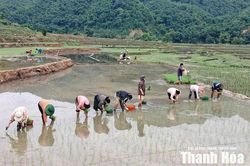 Tam Lư sau 1 năm thực hiện chính quyền địa phương 2 cấp