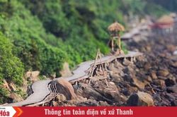 Ngắm Bãi Đông từ cây cầu gỗ uốn quanh biển
