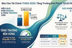 Thấy g&igrave; từ bức tranh t&agrave;i ch&iacute;nh của THISO?