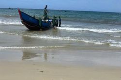 Siết chặt quản lý, xử lý nghiêm cào nghêu trái phép