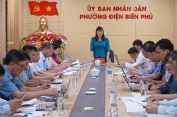 Thường trực HĐND tỉnh giám sát chuyên đề tại phường Điện Biên Phủ