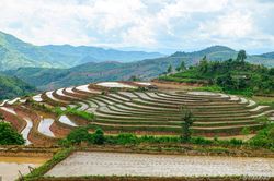 Mùa nước đổ trên ruộng bậc thang Pu Nhi