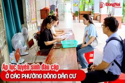 [Video] &Aacute;p lực tuyển sinh đầu cấp ở c&aacute;c phường đ&ocirc;ng d&acirc;n cư