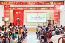 Hội Nông dân tỉnh tổ chức 12 lớp tập huấn về kinh tế tập thể