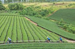 Giải vô địch xe đạp quốc gia 2026: Mô hình điểm phát triển thể thao gắn với du lịch tại Lào Cai
