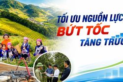 Tối ưu nguồn lực, bứt tốc tăng trưởng
