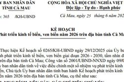 Quy hoạch kinh tế biển Cà Mau năm 2026: Đẩy mạnh hạ tầng cảng biển và năng lượng xanh