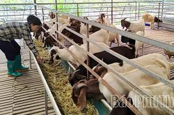 Phát huy lợi thế, tạo động lực phát triển kinh tế