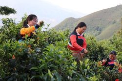 Chú trọng phát triển đảng viên nữ
