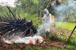 Xuất hiện dịch c&uacute;m gia cầm A/H5N1 tại x&atilde; Đồng T&acirc;m