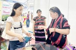 Tìm hướng đi mới cho zèng