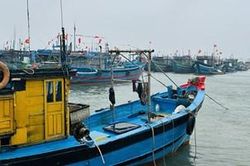 Chủ động ứng phó vùng áp thấp khả năng thành áp thấp nhiệt đới