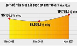 Gia hạn thời hạn nộp thuế, tiền thuê đất: 'Khoản vay không lãi suất' hỗ trợ doanh nghiệp phục hồi phát triển